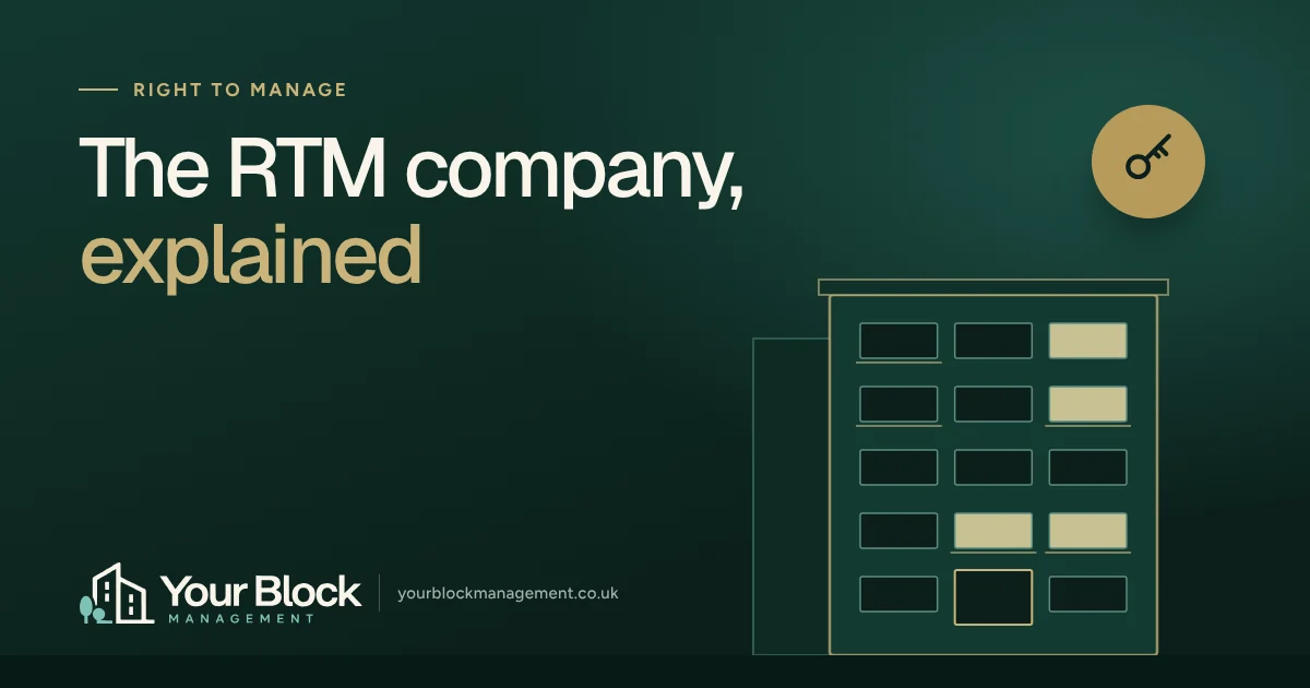 Illustration of a block of flats at dusk with the words The RTM company, explained