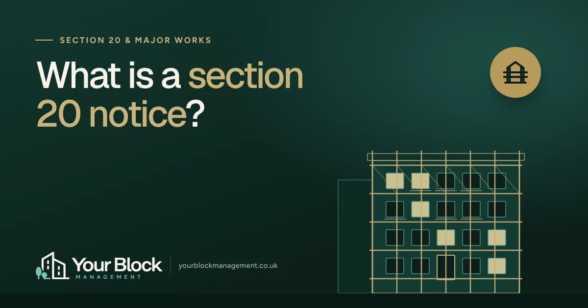Illustration of a block of flats with scaffolding beside the words “What is a section 20 notice?” and the Your Block logo